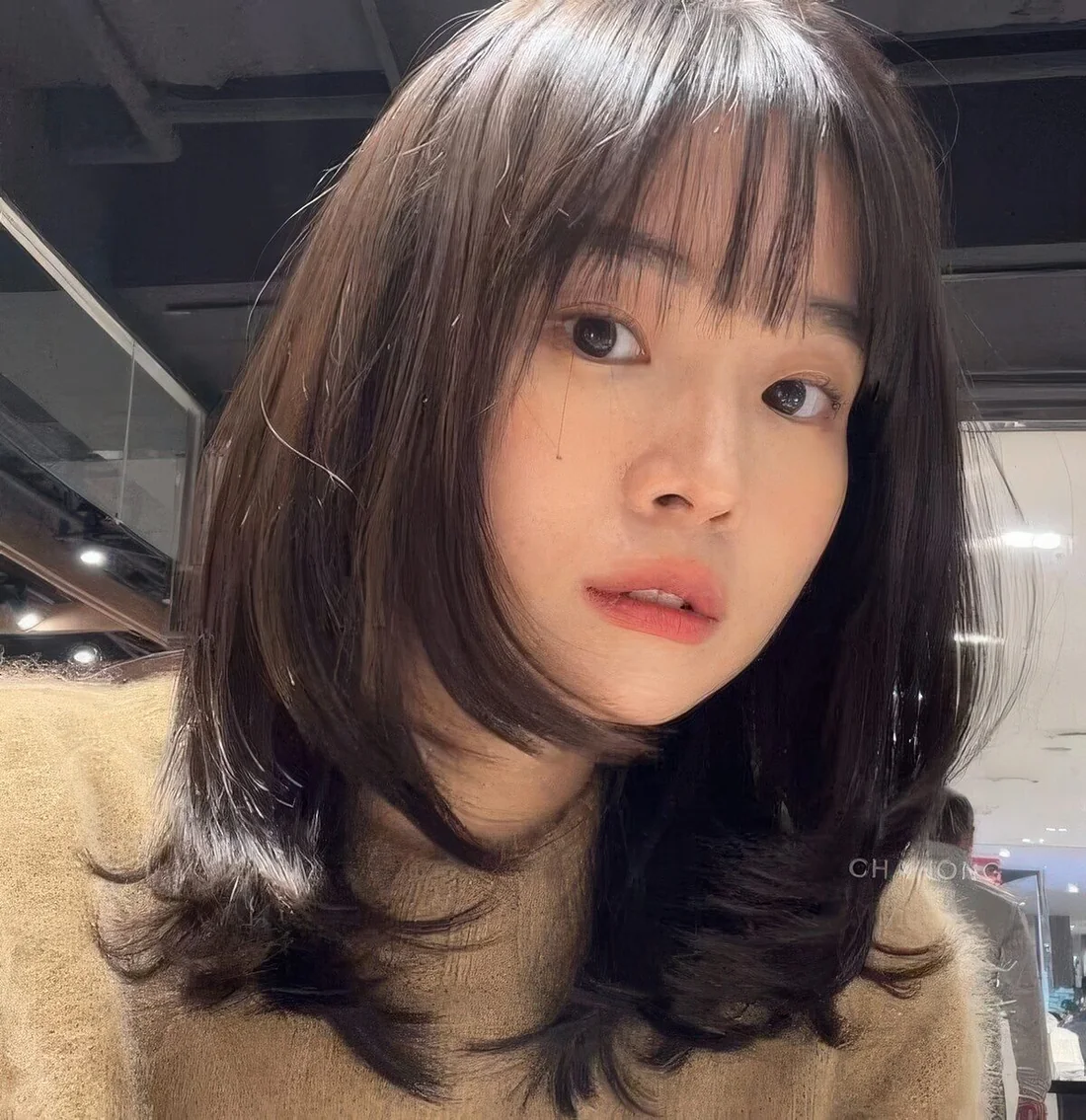 Dark brunette butterfly haircut with curled ends and wispy bangs plus a glossy touch.