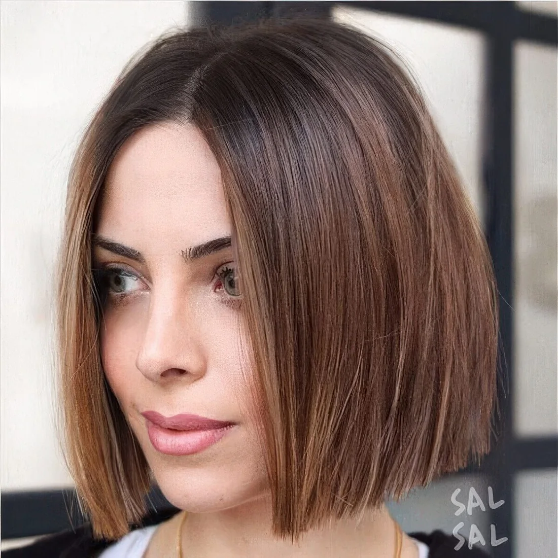 Chestnut chin-length bob with a darker root and straight hair.