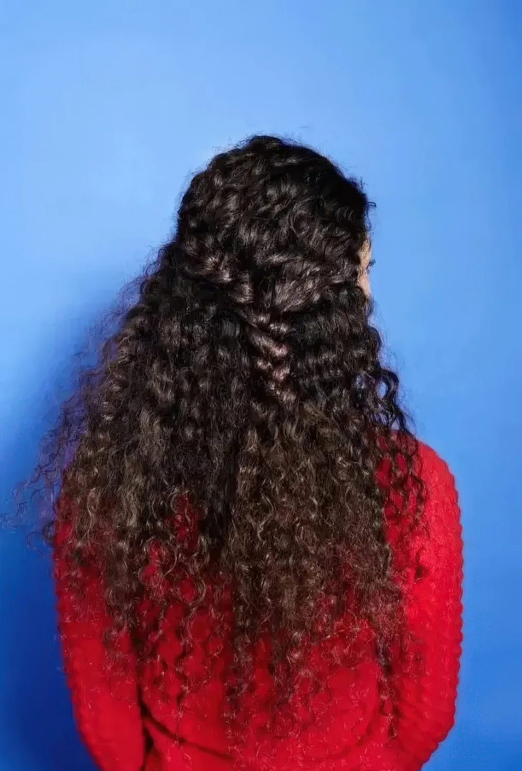 Photo showing half updo with a braid, with the hairstyle clearly visible.