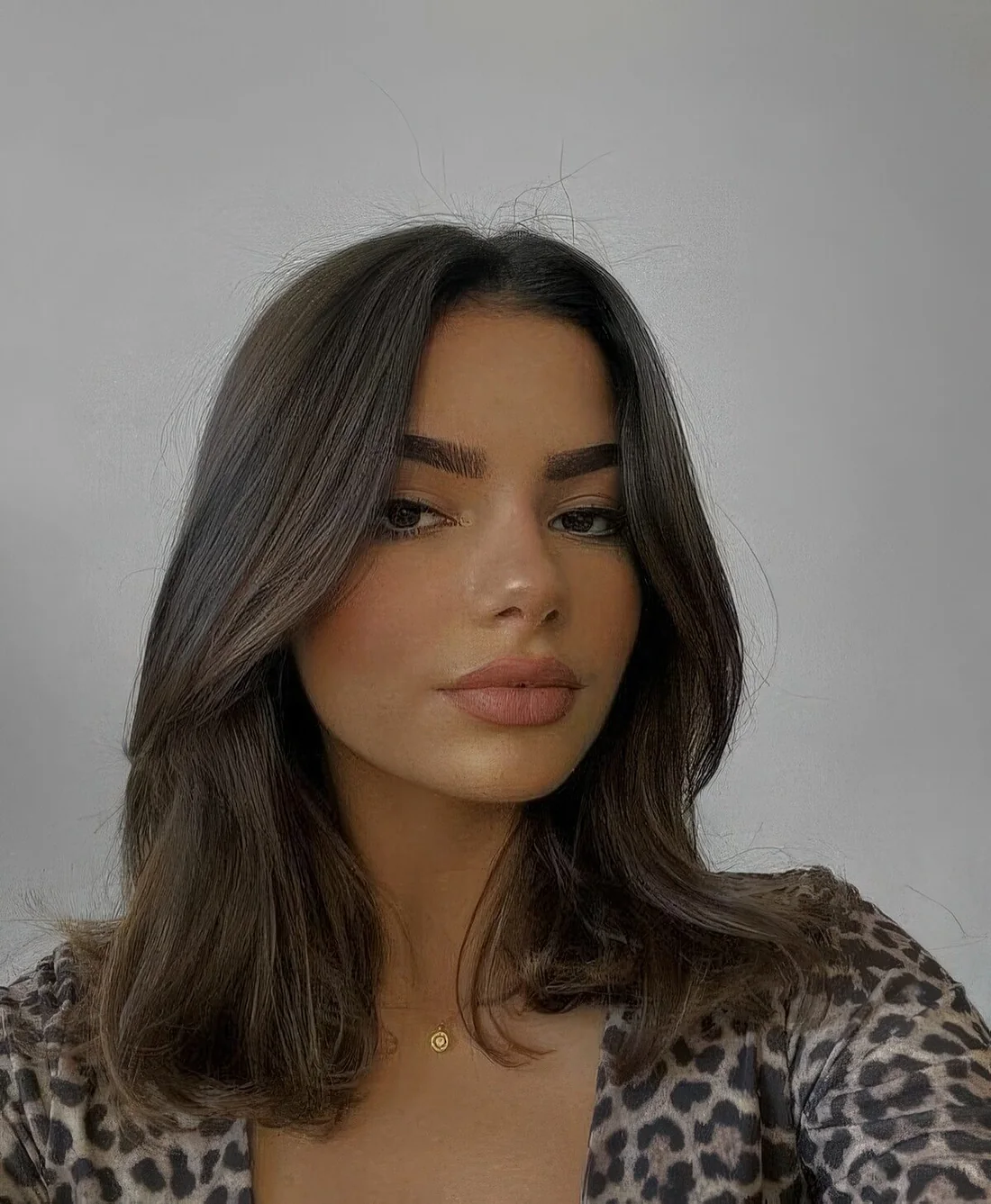 Medium dark brown hair with some highlights and face-framing layers plus center part.