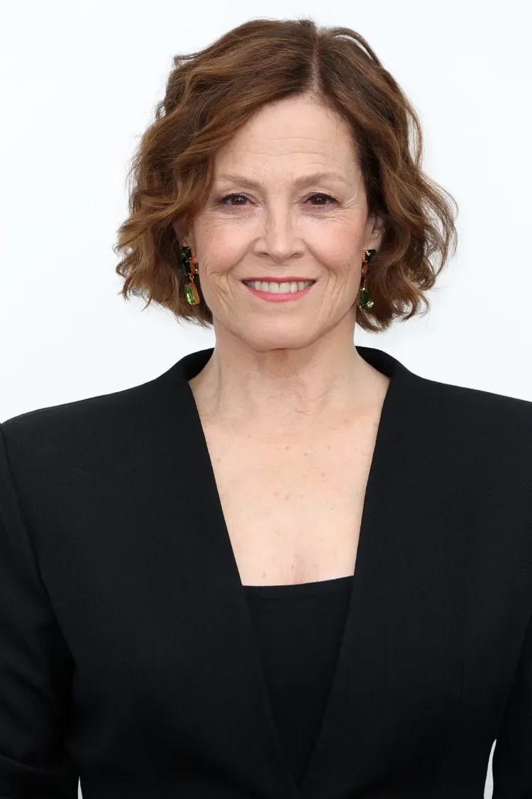 chin curly chestnut bob shown as a layered bob haircuts for women over 60 idea