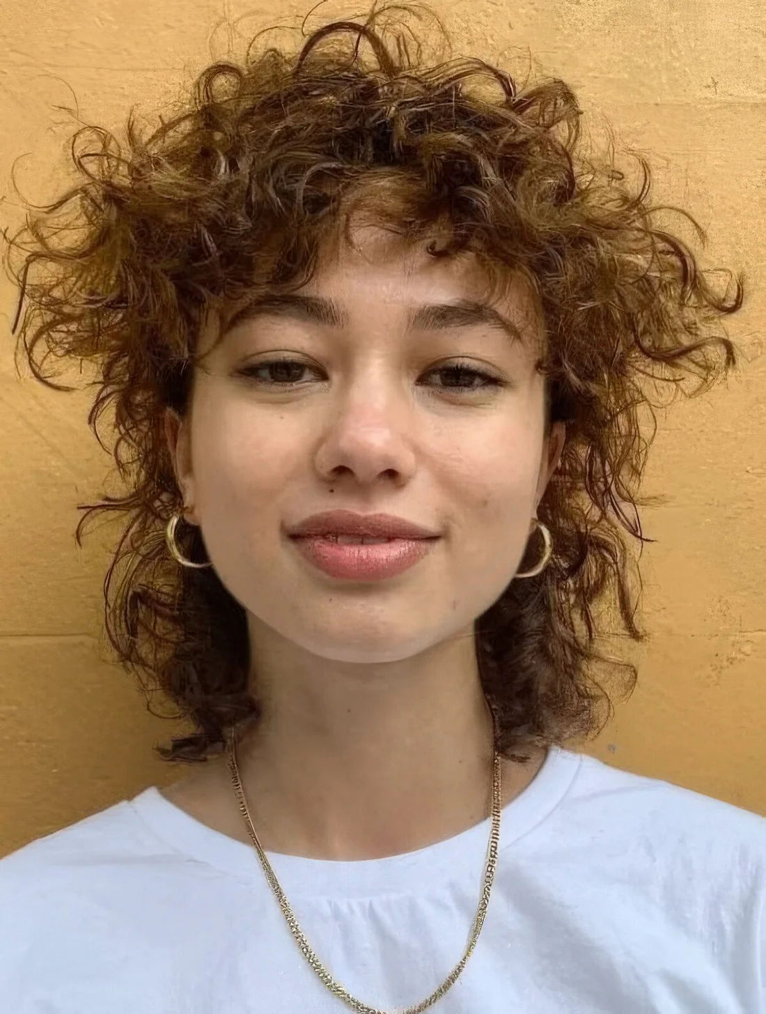 Dark curly mullet, here curly hair softens the cut and it doesn't look so choppy and layered.