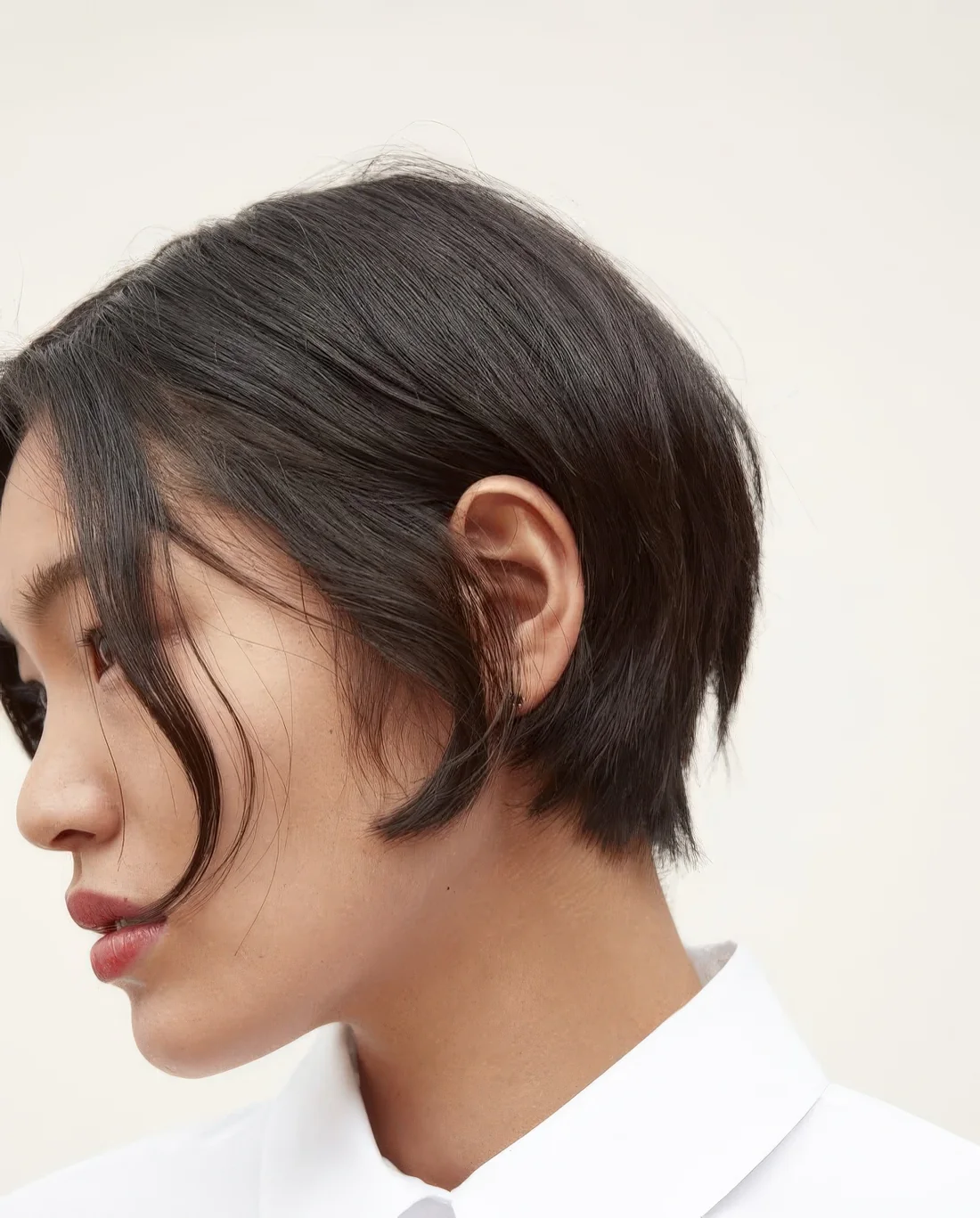 Photo showing dark brunette pixie bob, with the hairstyle clearly visible.