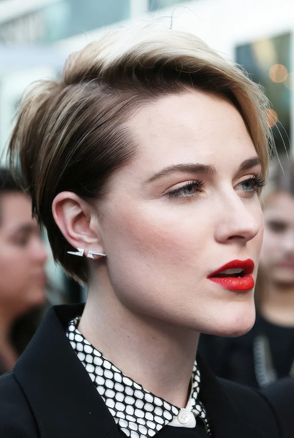 Pixie Bob Highlights with No Bangs.