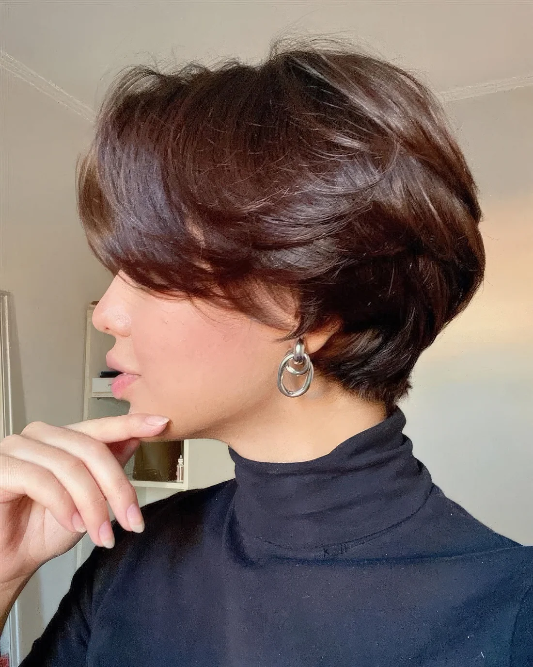 Photo showing shiny brunette pixie bob, with the hairstyle clearly visible.