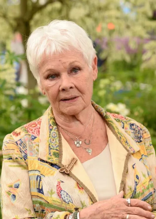 ear straight blonde pixie with micro fringe shown as a short haircuts for women over 70 idea