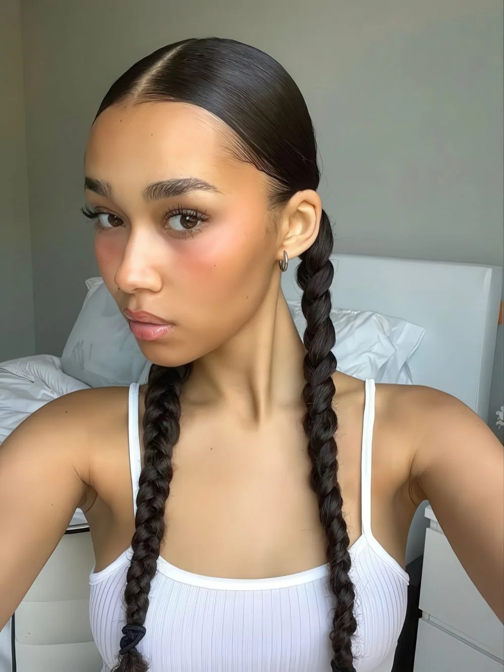Photo showing two low braids, with the hairstyle clearly visible.