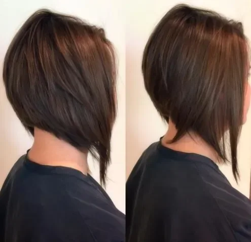 chin straight chestnut bob shown as a thin hair bob idea